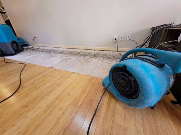 Reliable Flood Damage Restoration contractor in Beaverton, MI by Hirex Water Damage